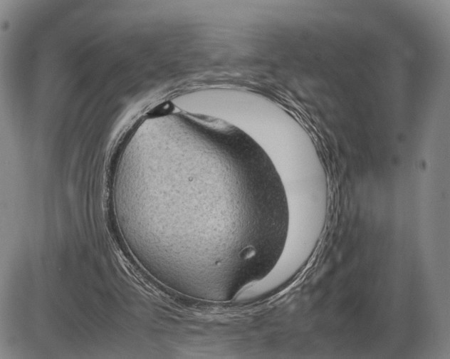 X0000085010293200703261202