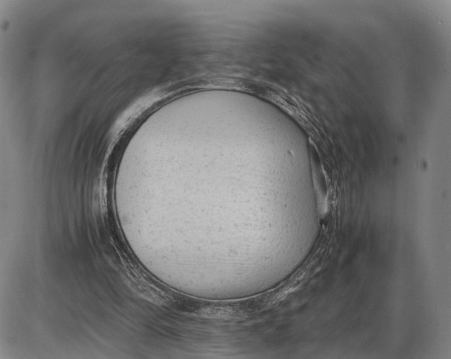 X0000085010294200703261202