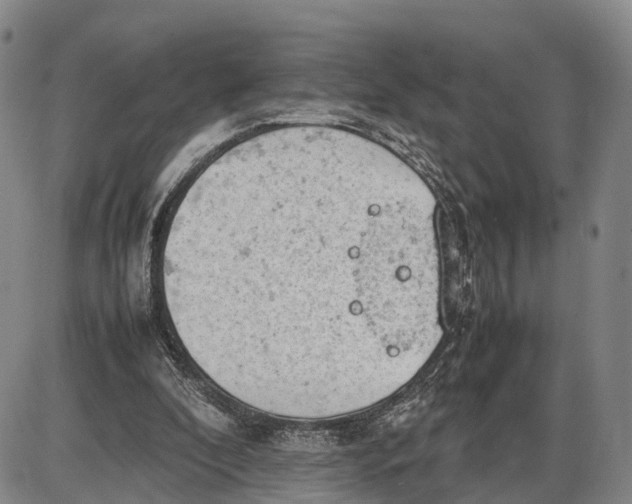 X0000085010296200703261202