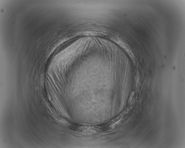 X0000085010297200703261202