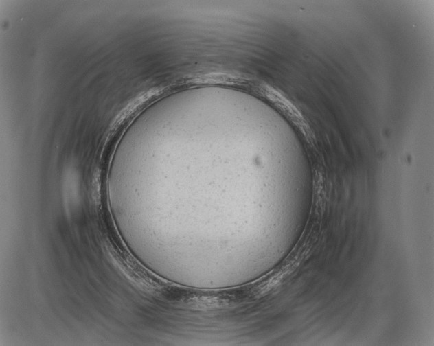 X0000085010298200703261202