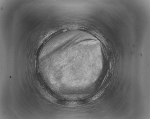 X0000085010301200703261202