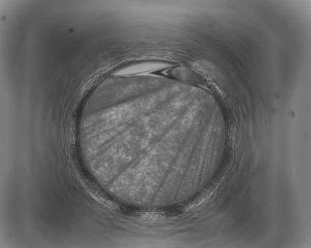 X0000085010303200703261202