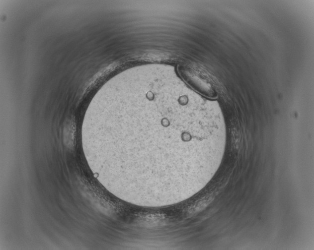 X0000085010304200703261202