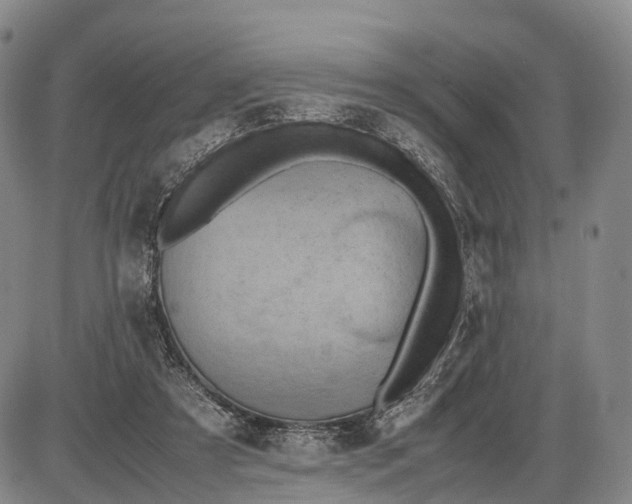 X0000085010305200703261202