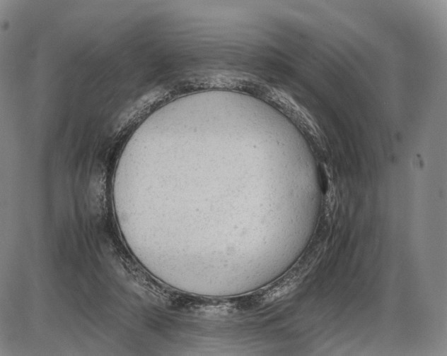 X0000085010306200703261202