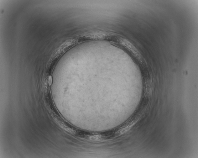 X0000085010309200703261202