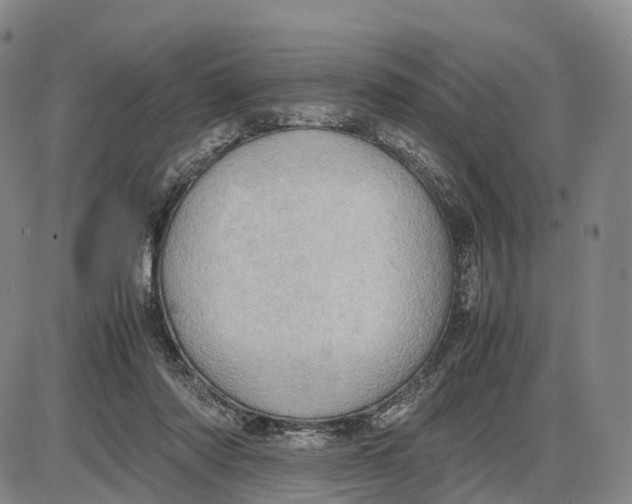 X0000085010310200703261202