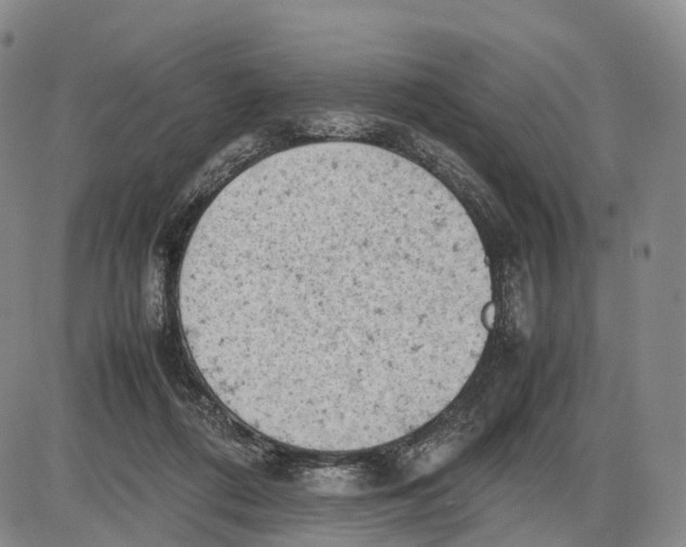 X0000085010312200703261202