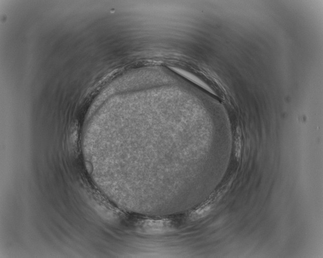 X0000085010314200703261202