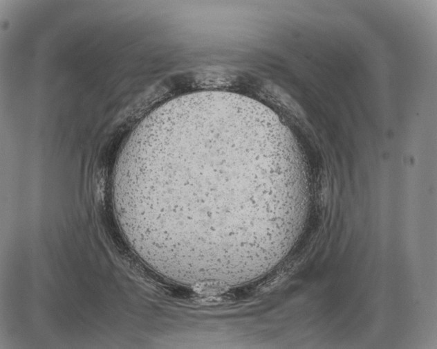 X0000085010315200703261202