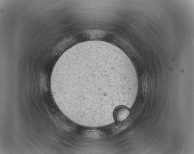 X0000085010316200703261202