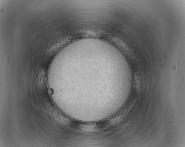 X0000085010318200703261201