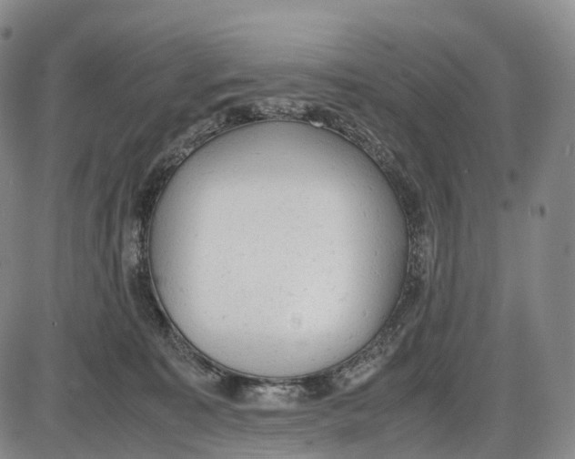 X0000085010323200703261201