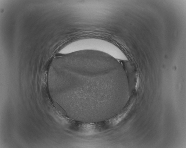 X0000085010325200703261201