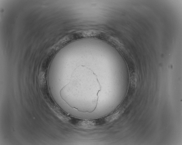 X0000085010327200703261201