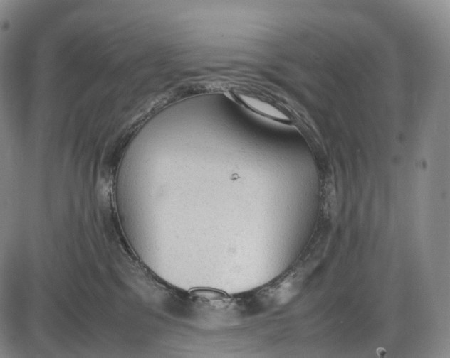 X0000085010329200703261201