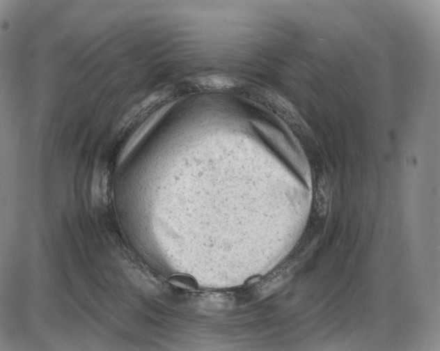 X0000085010330200703261201