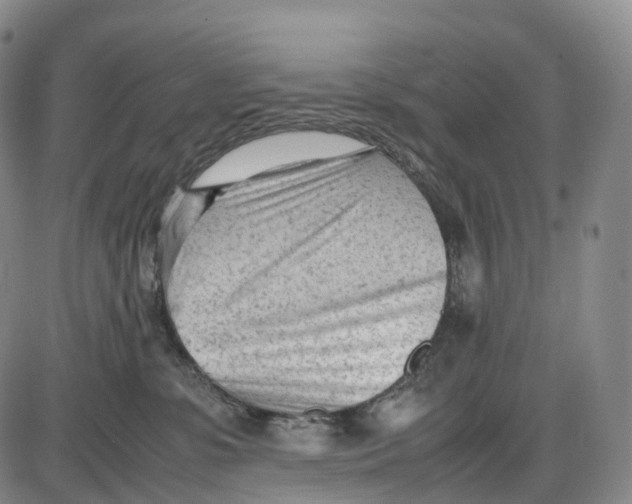 X0000085010331200703261201