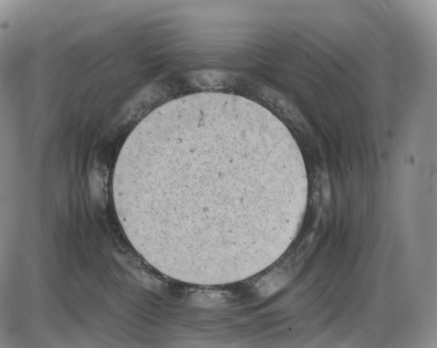 X0000085010332200703261201