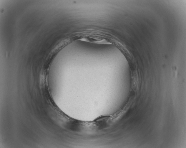 X0000085010333200703261201