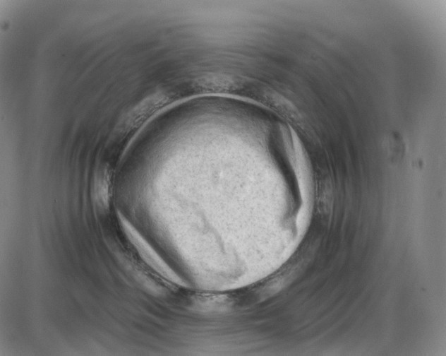 X0000085010334200703261201