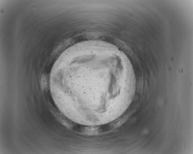 X0000085010335200703261201