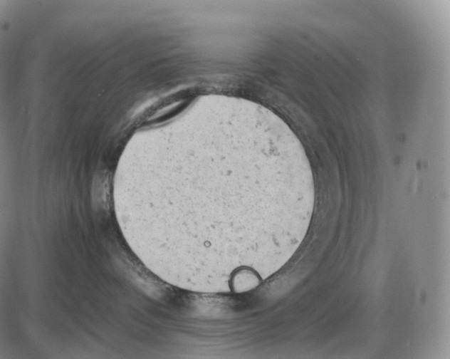 X0000085010336200703261201