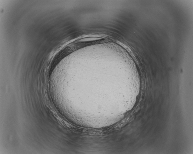 X0000085010337200703261200