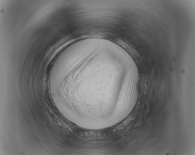 X0000085010338200703261200