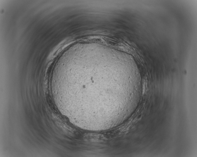 X0000085010339200703261200