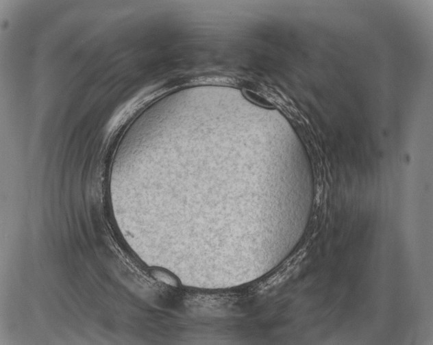 X0000085010341200703261200