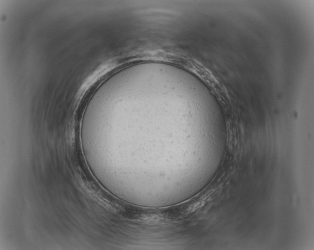 X0000085010344200703261200