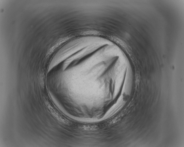 X0000085010345200703261200