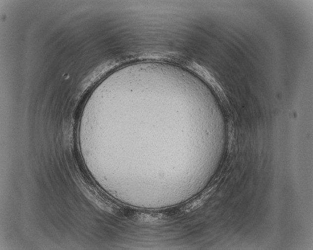 X0000085010346200703261200