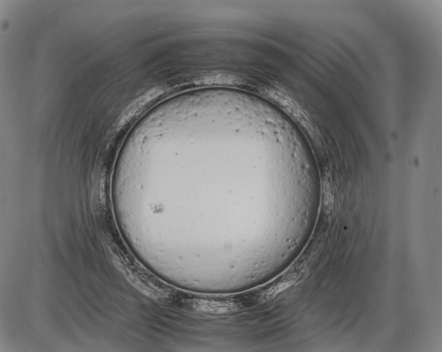 X0000085010347200703261200