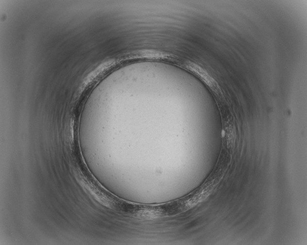 X0000085010350200703261201