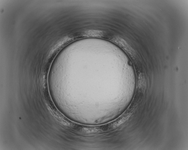 X0000085010351200703261201