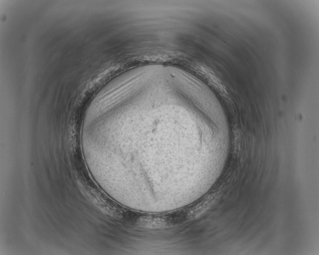 X0000085010354200703261201