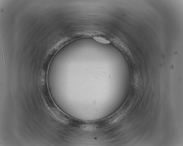 X0000085010356200703261201