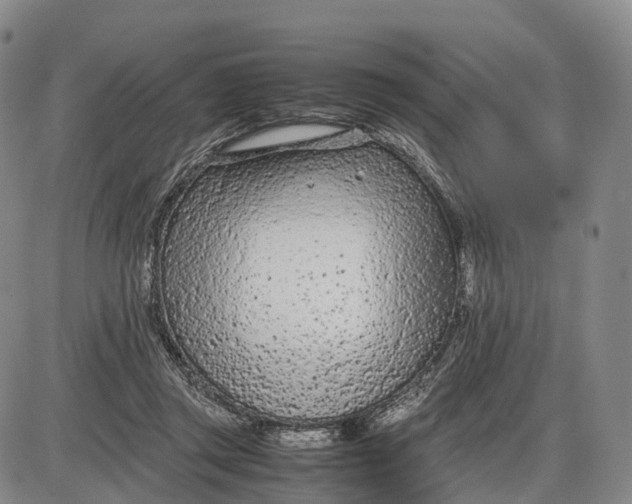 X0000085010357200703261201