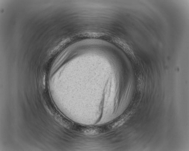 X0000085010358200703261201