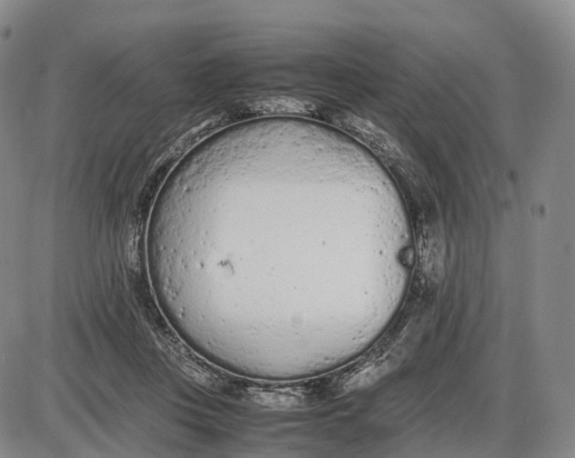 X0000085010359200703261201