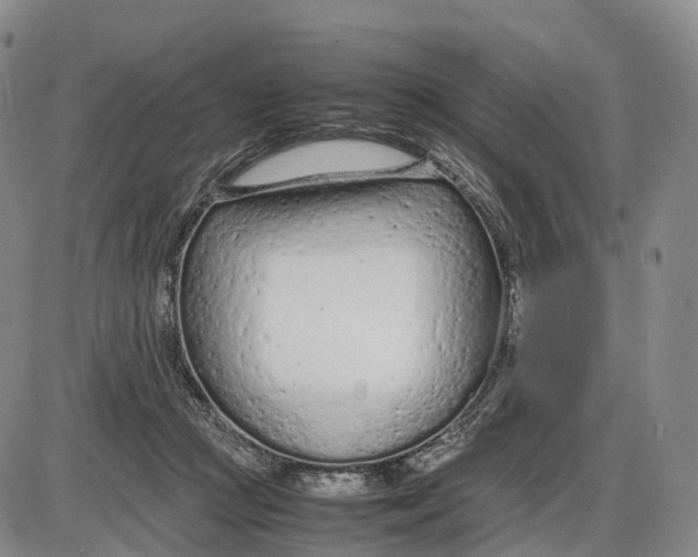 X0000085010361200703261201