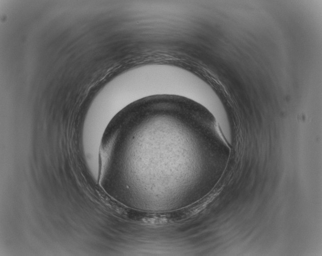 X0000085010362200703261201