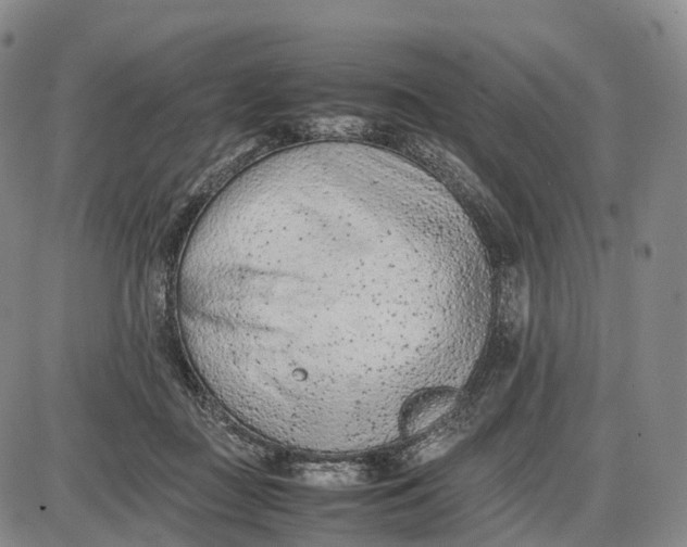 X0000085010363200703261201