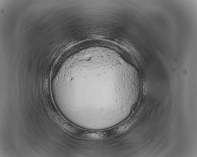 X0000085010365200703261201