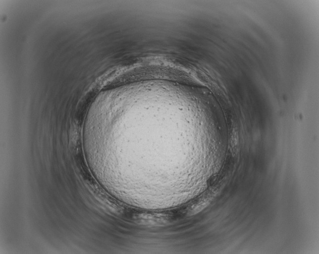 X0000085010367200703261201