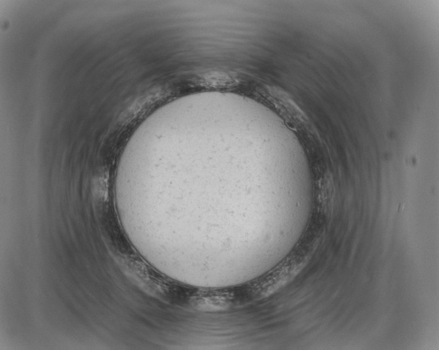 X0000085010368200703261201