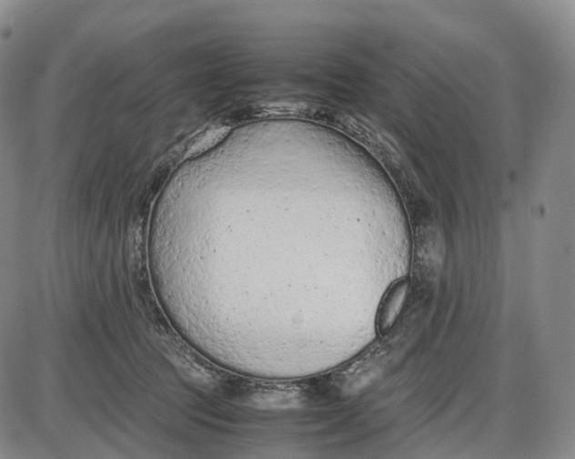 X0000085010369200703261201